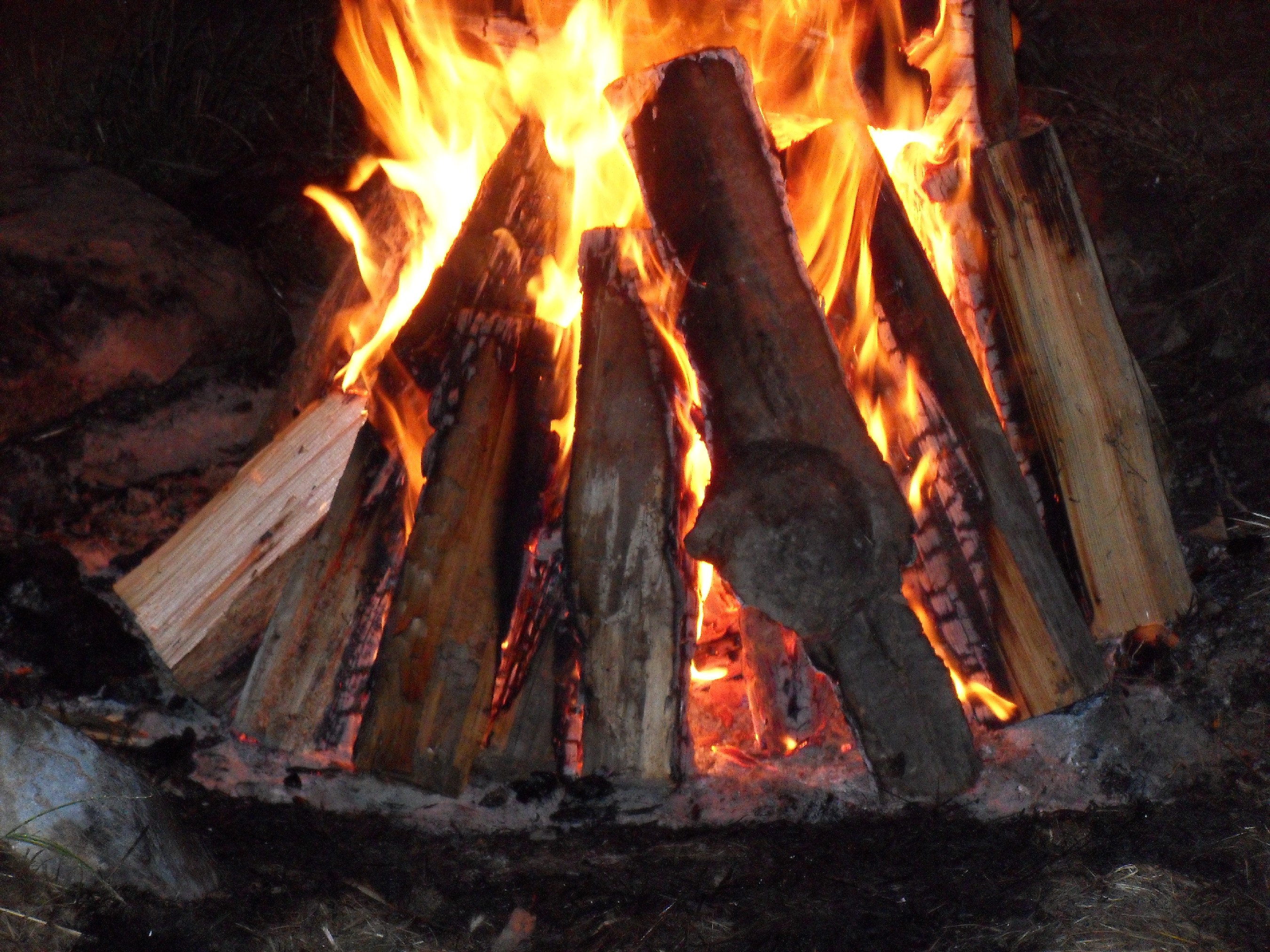 firesmall.jpg
